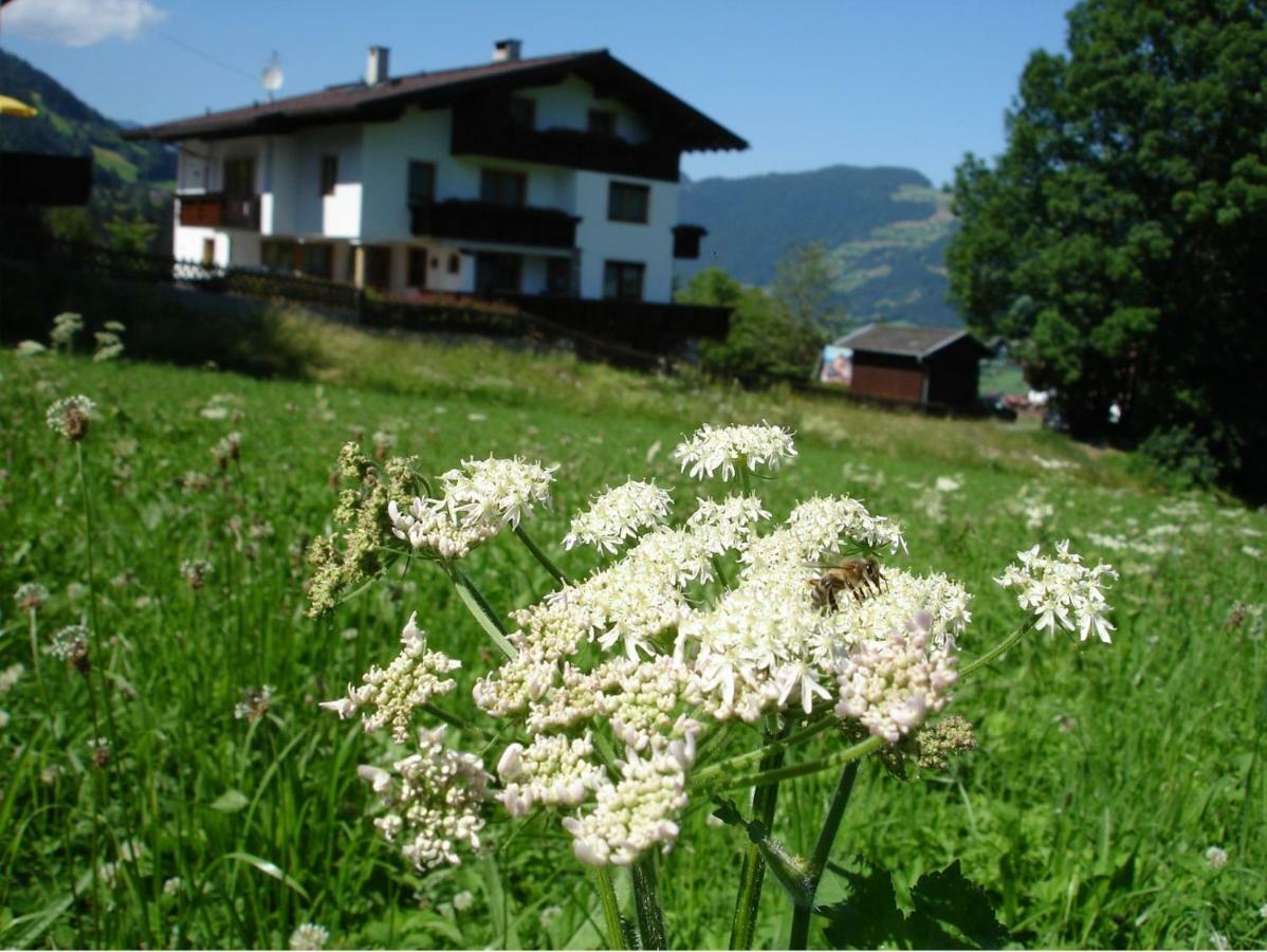 Appartement Hollaus Fügen Zewnętrze zdjęcie